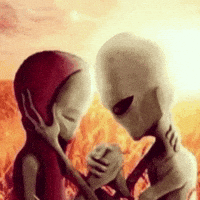 Bald GIF