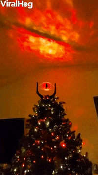 One Tree To Rule Them All GIF by ViralHog