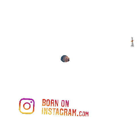 Priyanshpal414 Sticker by BORN ON INSTAGRAM