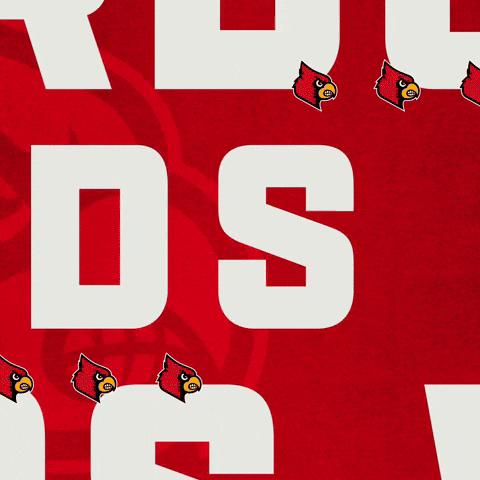 Go Cards Win GIF by Louisville Cardinals