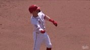 Baseball Mlb GIF by Cincinnati Reds