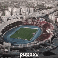Morocco Winners GIF