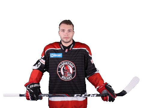 tiposshl giphyupload sport hockey hokej Sticker