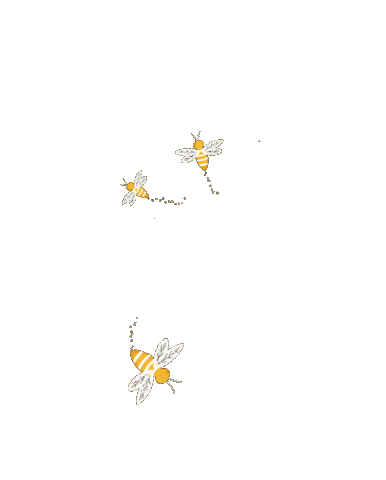 Bee Sticker