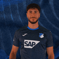 Sport Bundesliga GIF by TSG Hoffenheim