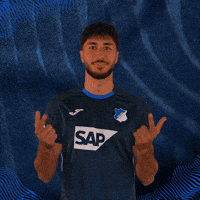 Sport Bundesliga GIF by TSG Hoffenheim