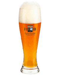 Beer Cheers Sticker by Hofbräuhaus Traunstein
