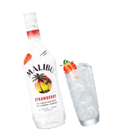 Happy Hour Cheers Sticker by Malibu Rum