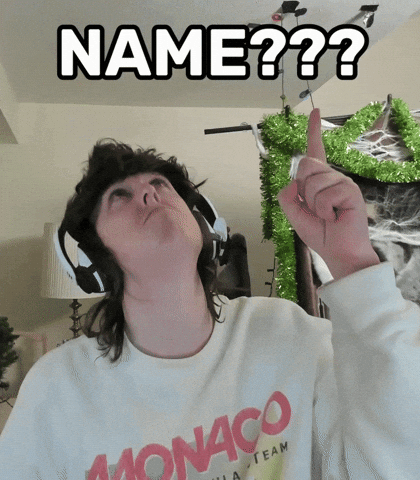 Name What Is That GIF