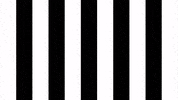 Football Sport GIF by SK Sturm Graz