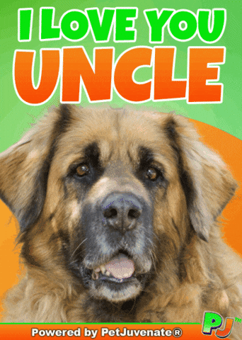 Valentines Day Love GIF by PetJuvenate - PJ