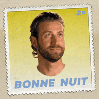 French Francais GIF