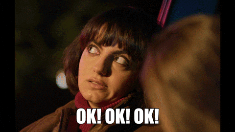 Ok Fine Yes GIF by theregisti