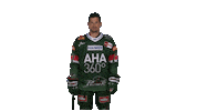 aevpanther celebration hockey jubel celly Sticker