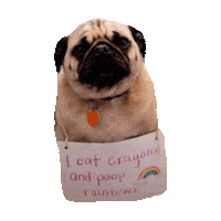 pugs STICKER by imoji