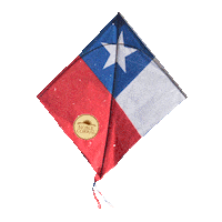 Fiestas Patrias Chile Sticker by Assuan