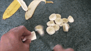 ft casey GIF