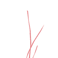 Flower Osn Sticker by Our Second Nature