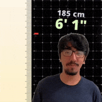 6' 1"