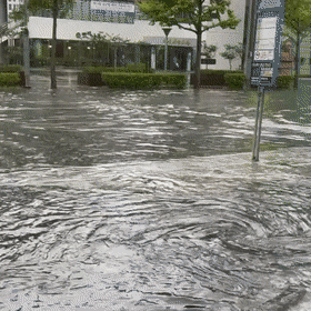 insight_newsroom giphyupload GIF