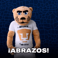 Soccer Futbol GIF by Pumas MX