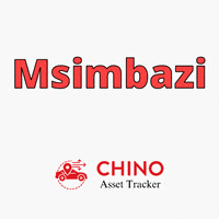 Simba GIF by chino asset tracker