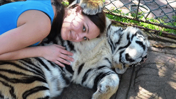 Animal Sanctuary Volunteer Charts Her Most Memorable Moments