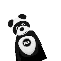 hogeschoolpxl hi wave college panda Sticker