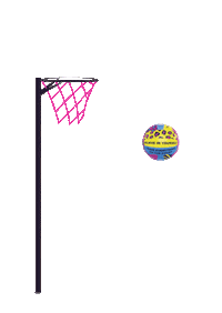 goal shooting Sticker by NETFIT Netball