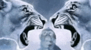 Monkey Lion GIF