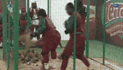 Bbnaija GIF by Big Brother Naija