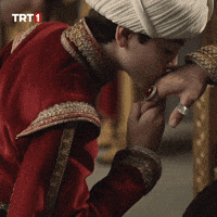Sultan Saygı GIF by TRT