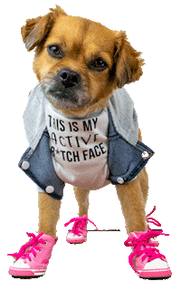 smooshy_mooshy dog animal dogs wink Sticker