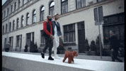 Dog Gay GIF by celio