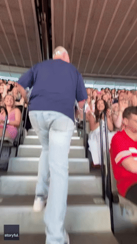 Crowd Cheers on Taylor Swift Fan's Father Dressed as Mirrorball