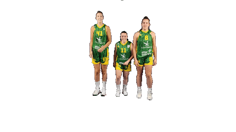 Basket Challenge Sticker by CB Alqazeres