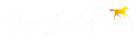 Santacruz Sticker by santacruzofscandinavia