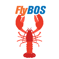 BostonLoganAirport flying plane airport tickets Sticker