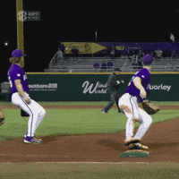 College Sports Baseball GIF by LSU Tigers