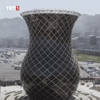 Good Morning Tea GIF by TRT