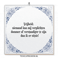 Nl Spreuk GIF by Tegelspreuken.nl