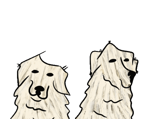 Big Dog Thank You Sticker