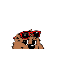 Groundhog Day Sticker by Holzlager Brewing Co.