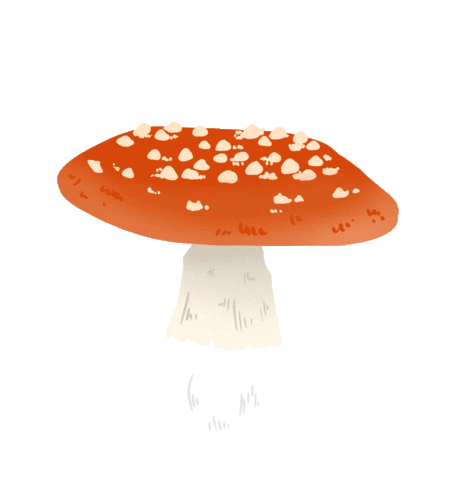 Fall Forest Sticker by molehill