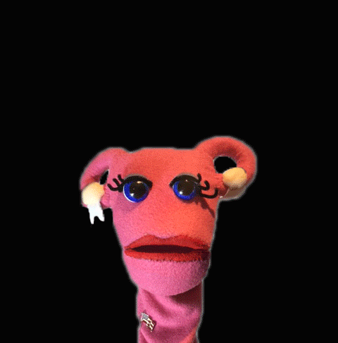 Thanks Thank You GIF by Abortion Access Front