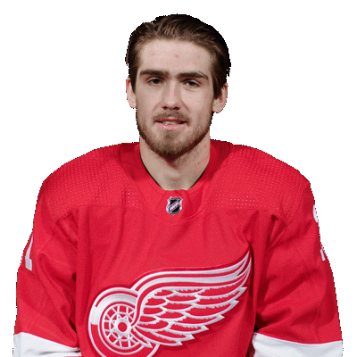 Red Wings Hockey Sticker by Detroit Red Wings