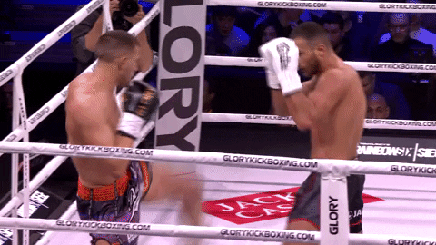 Mixed Martial Arts Mma GIF by GLORY Kickboxing