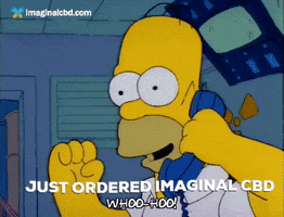 Excited Homer Simpson GIF by Imaginal Biotech