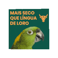 Sticker by LeiloApp