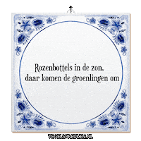 Wijsheid Licht Sticker by Tegelspreuken.nl